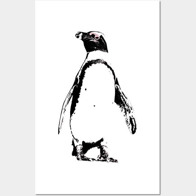 African Penguin Colour Wall Art by AnthonyZed